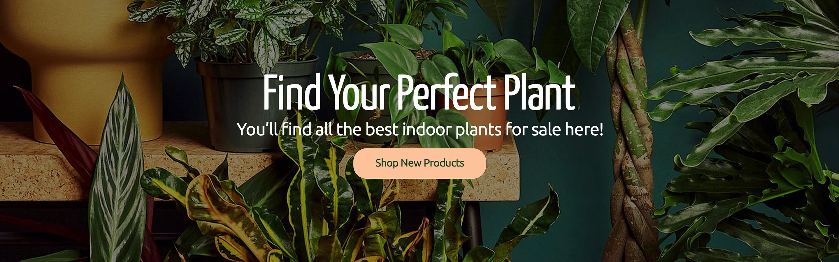 Garners Garden Centre