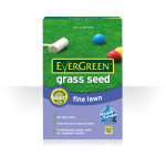 Evergreen - Luxury Lawn Seed 