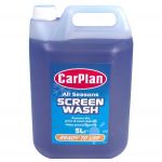 CarPlan All Seasons Screen Wash 