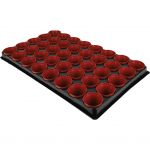 Westland Seed &amp; Cutting Tray With 40 Pots 