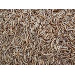 Johnston and Jeff Bugs Grubs and Mealworm 1.5kg 
