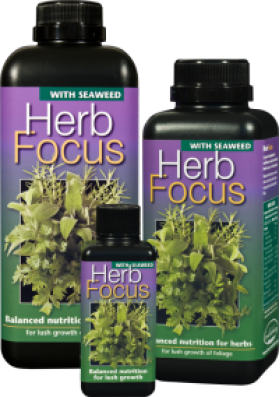 Growth Technology Herb Focus 
